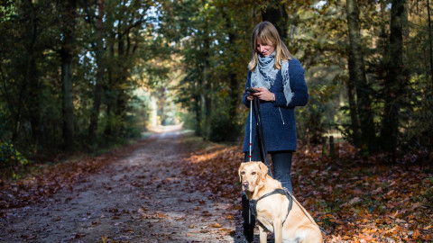 Vrouw met smartphone, blindengeleidehond en rood-witte stok in bos