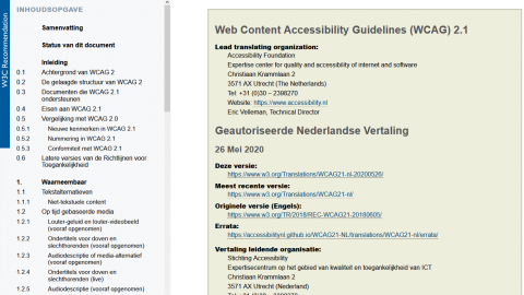 Screenshot van de WCAG richtlijnen