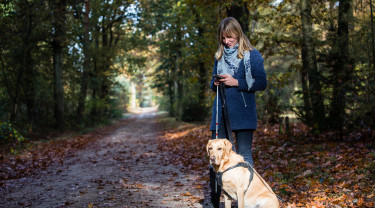 Vrouw met smartphone, blindengeleidehond en rood-witte stok in bos