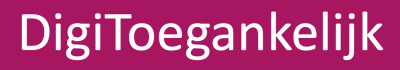 Logo DigiToegankelijk